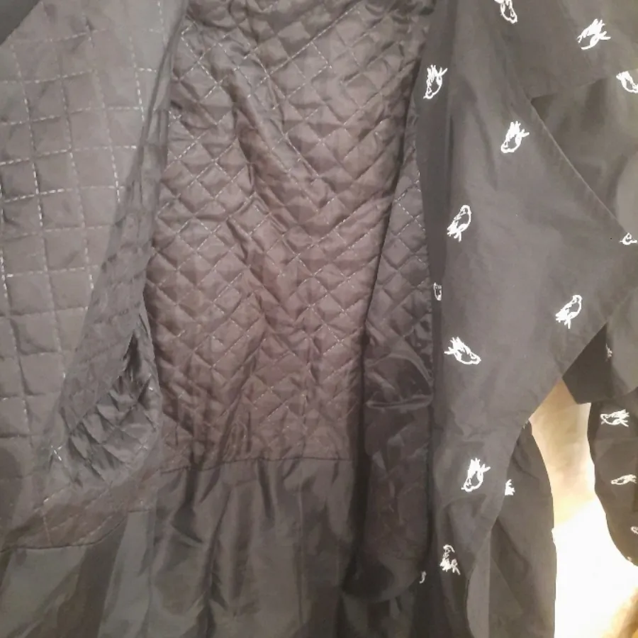 پالتو پاییزه