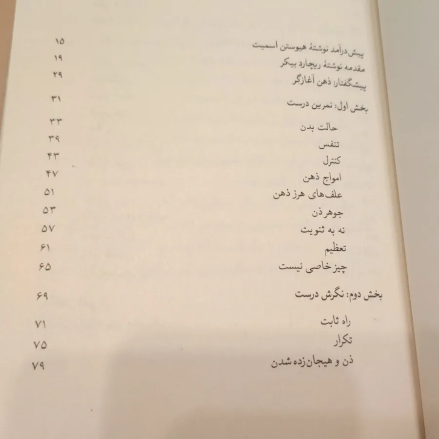 ذهن ذن ، ذهن آغازگر