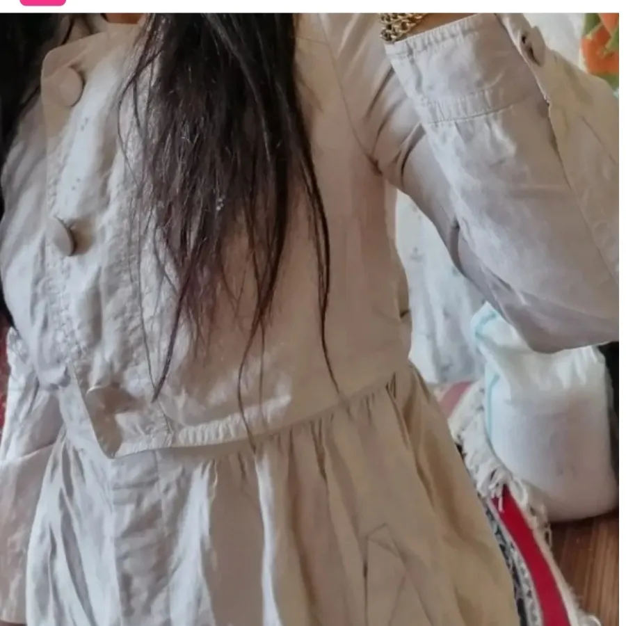 دو تا پالتو