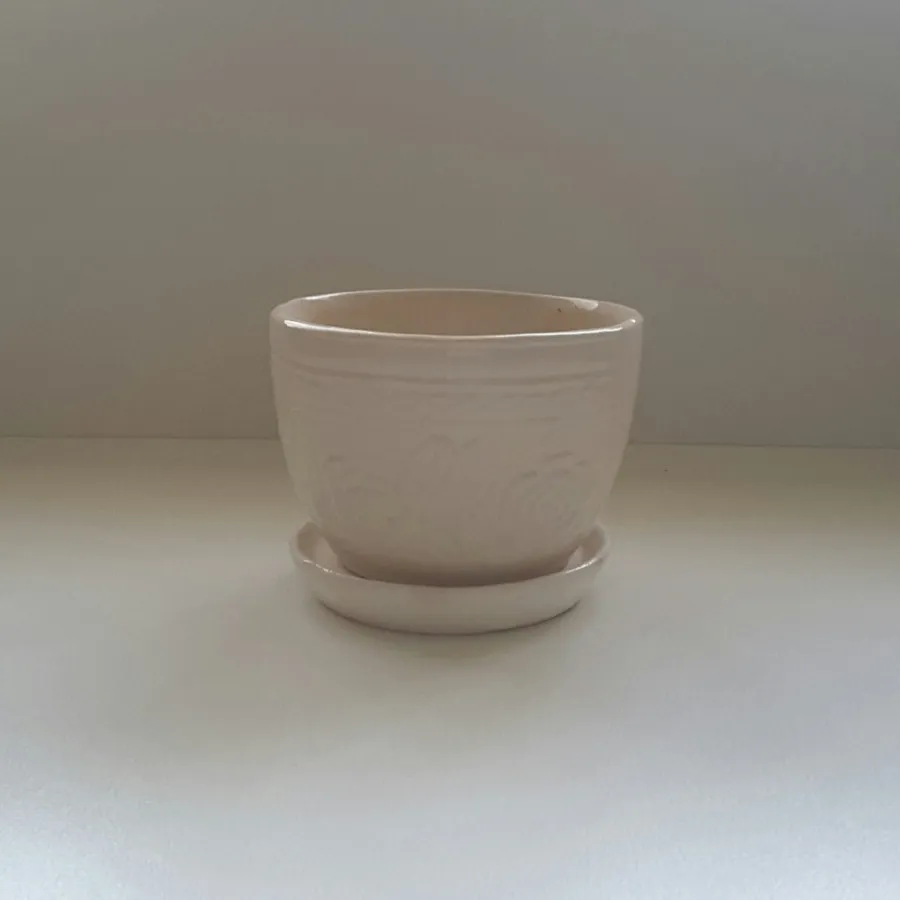 گلدانهای کوچک