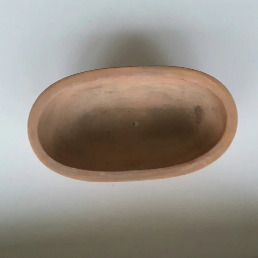 گلدانهای بنسای