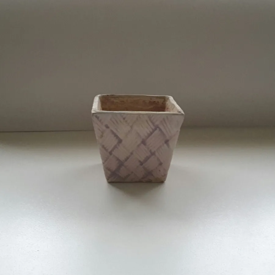 گلدانهای کوچک