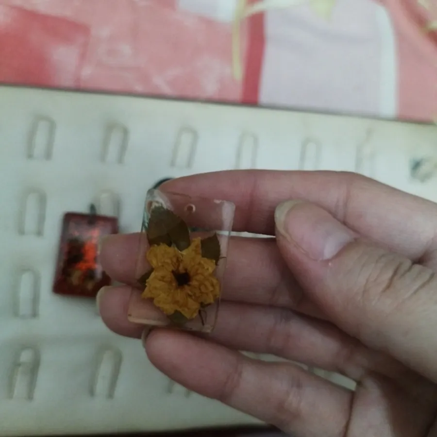 پلاک رزین و گوشواره