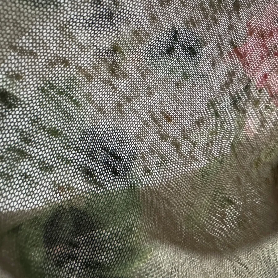 بلوز ابرکرومبی