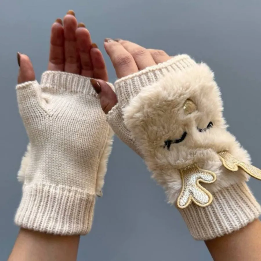 دستکش المانی