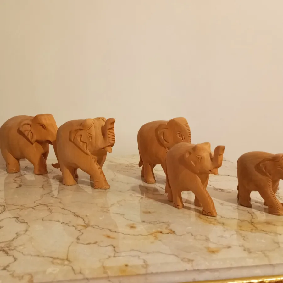 مجسمه های فیل چوبی هندی