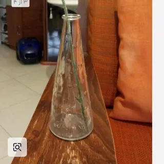 گلدان تک‌ گل لهستان