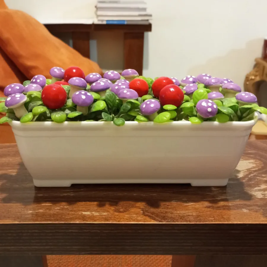 گلدان قارچ و گوجه فرنگی