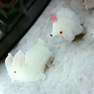 خانواده موش ها و میمون ها