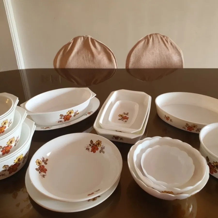 ست آرکوپال پخت و پز و سرو