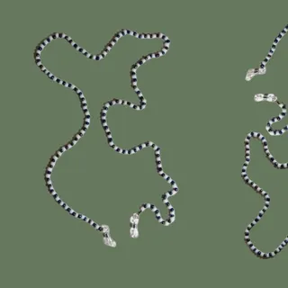 بند عینک هکاته