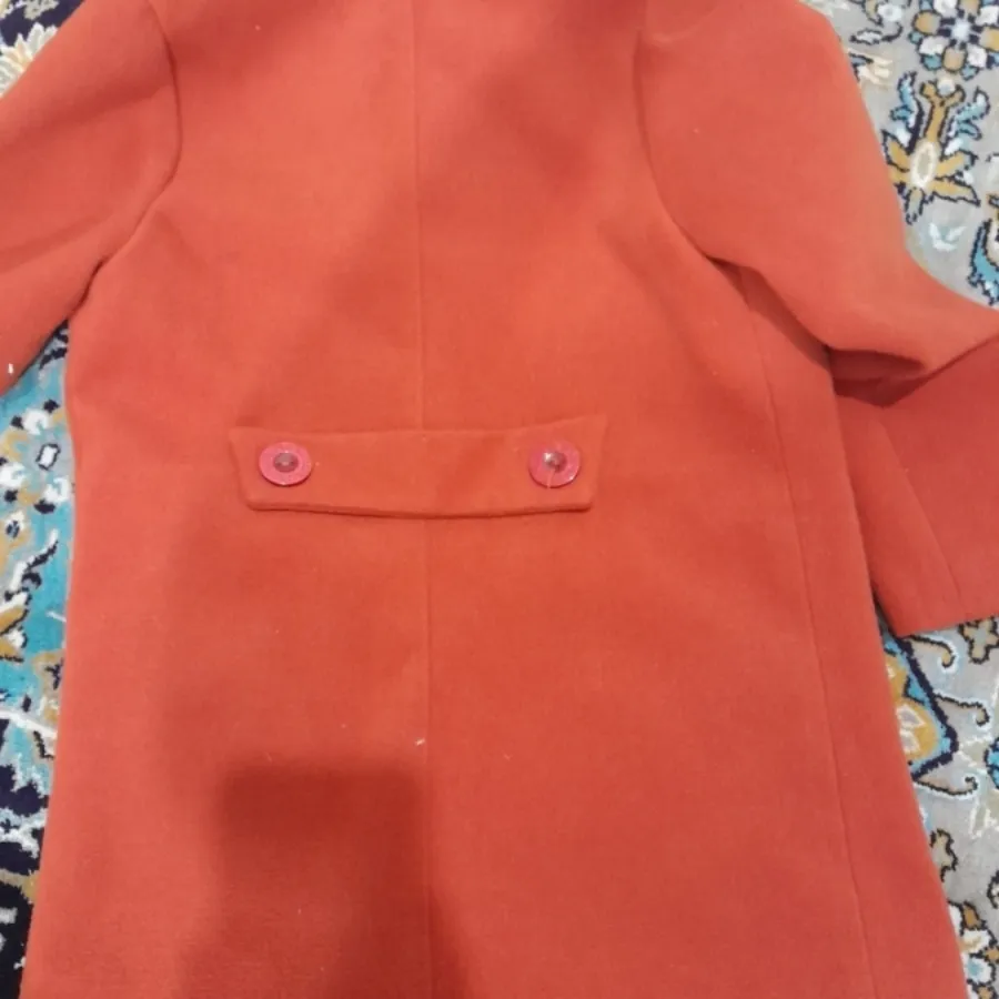 پالتو بچه گانه