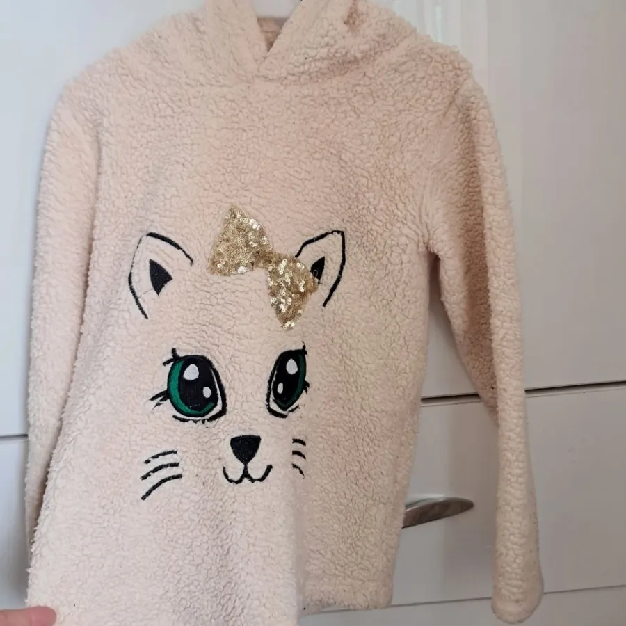 هودی تدی گربه