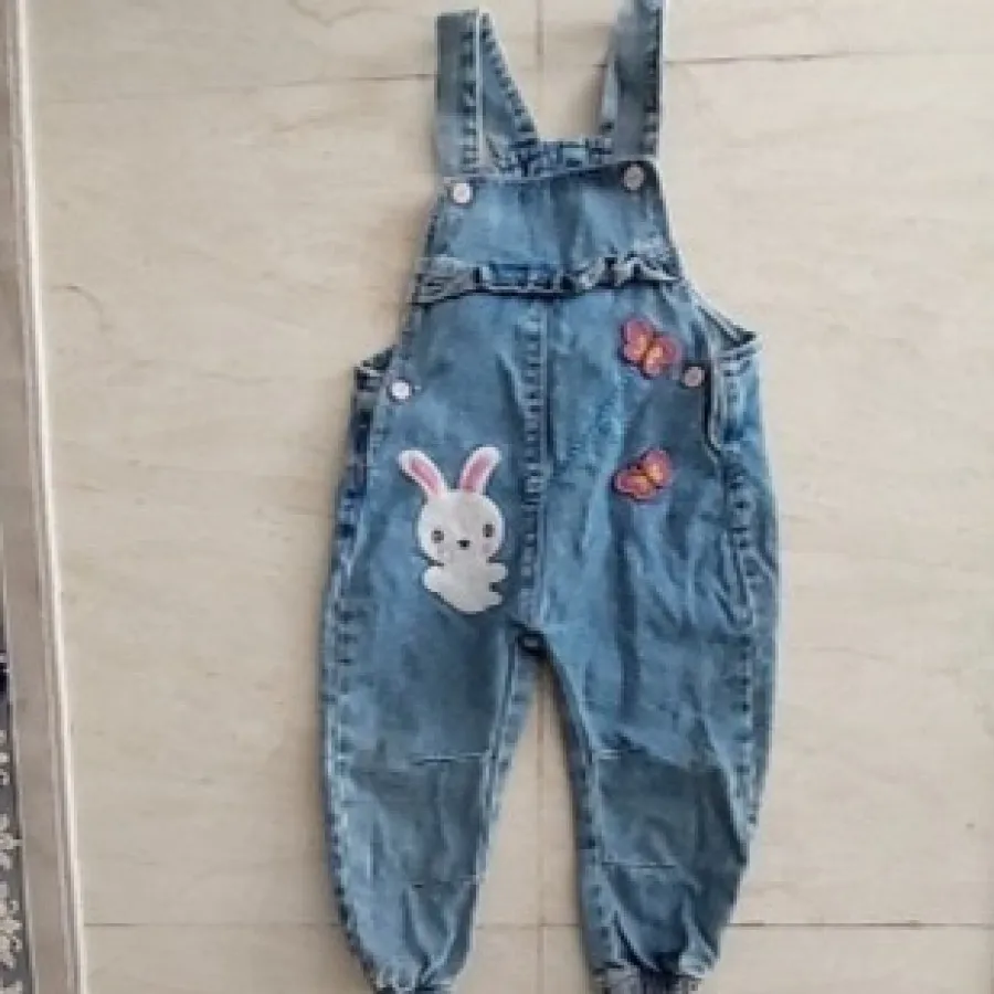 بیلر / سرهمی لی