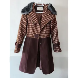 پالتو 100 تومنی