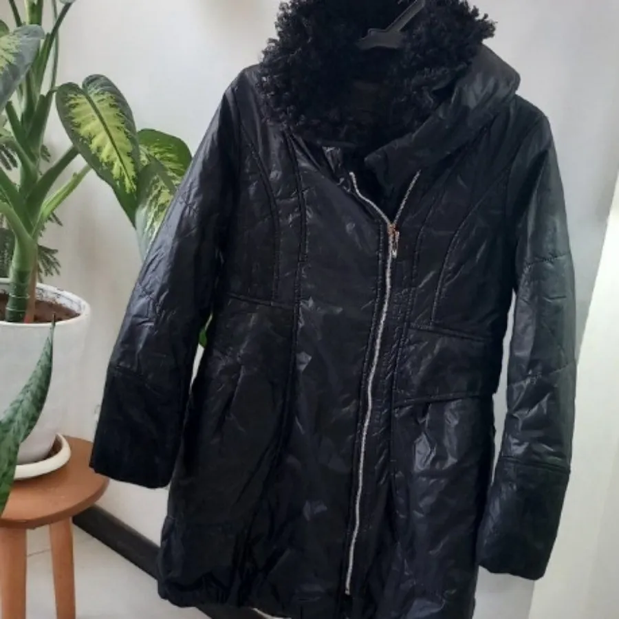 کابشن پالتو