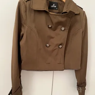 بارونی استر دار