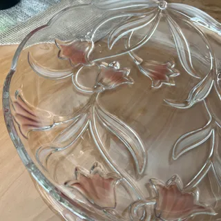 دیس پذیرایی