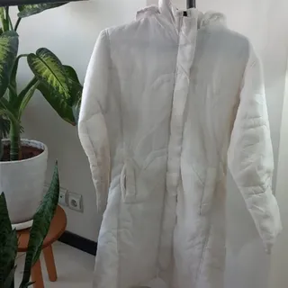 کابشن پالتو