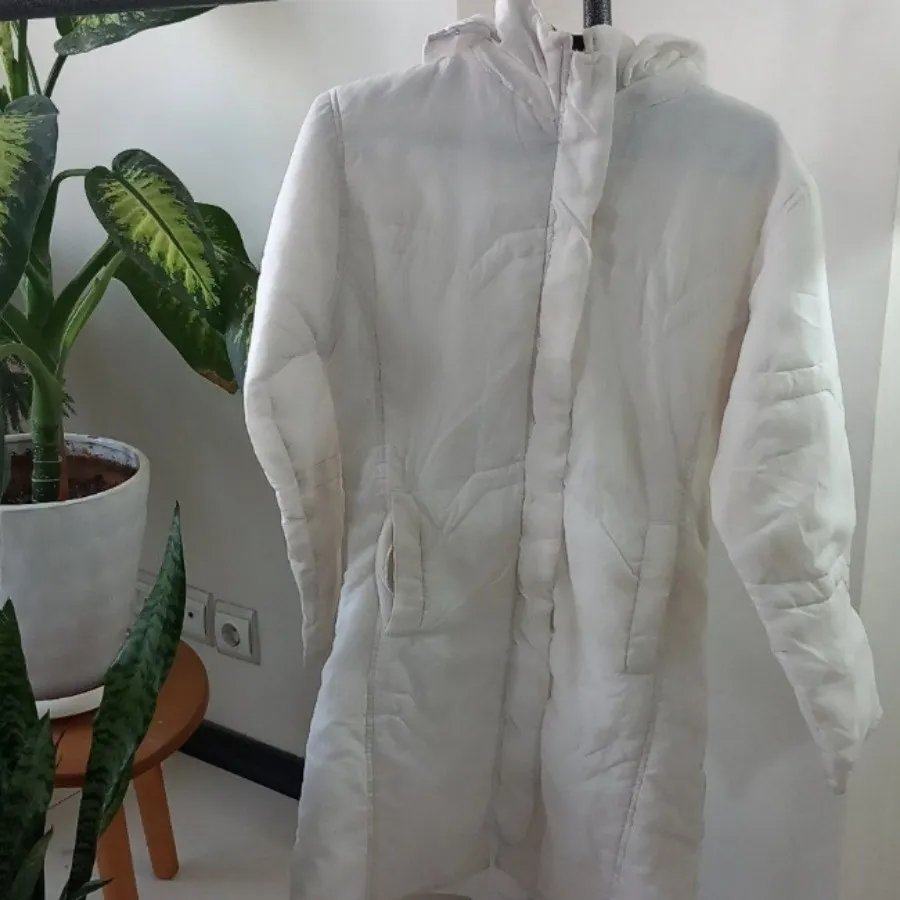 کابشن پالتو