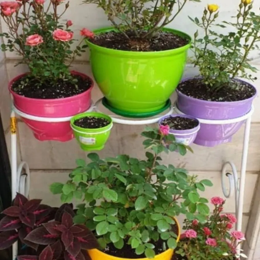 گلدان کلاسیک