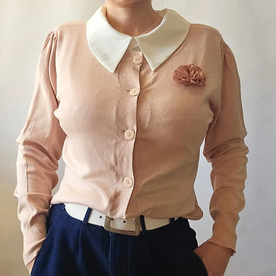 کاردیگان برند