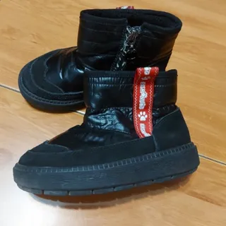 بوت فشن داگ