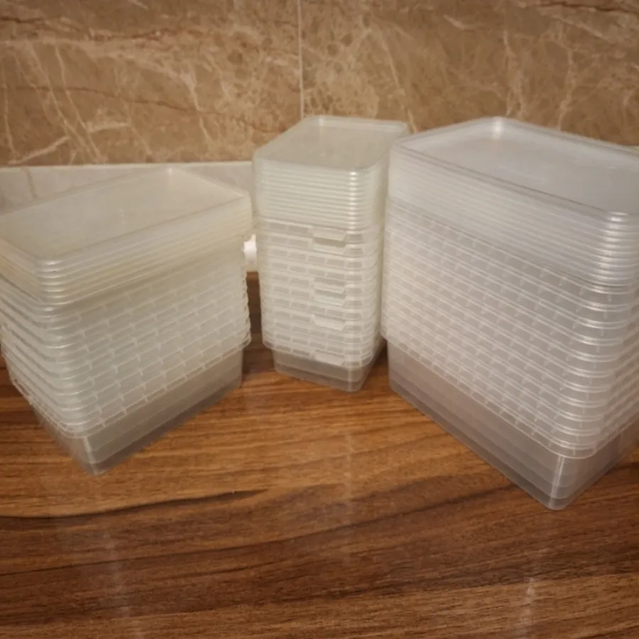 ظروف فریزری