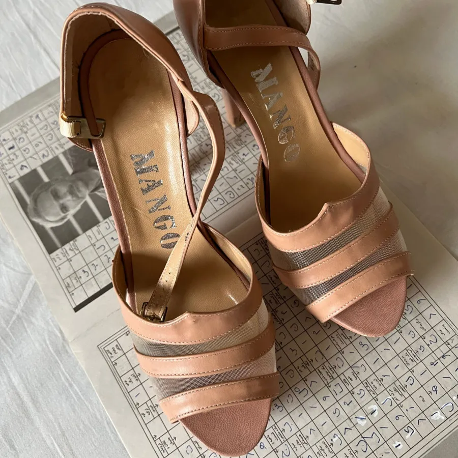 کفش مجلسی لژدار