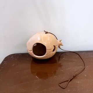 جاشمعی انار