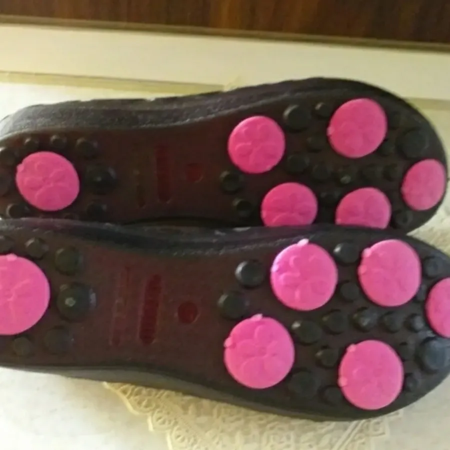 صندل ساحلی نسیم