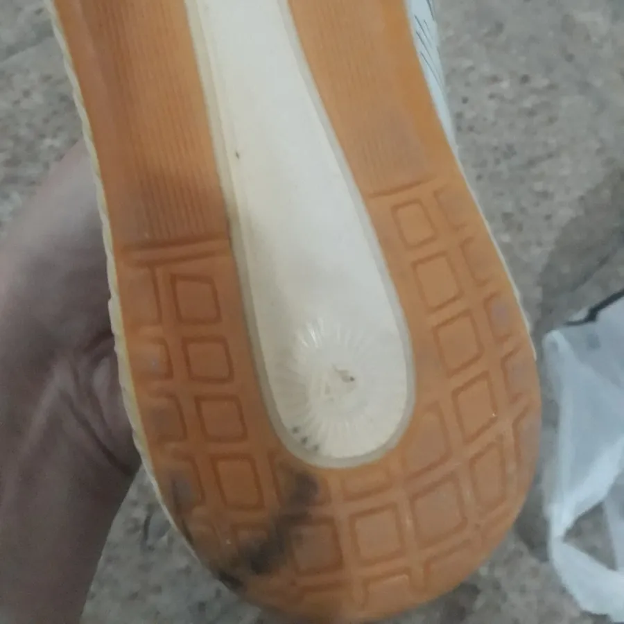 کفش ورزشی و پیاده روی