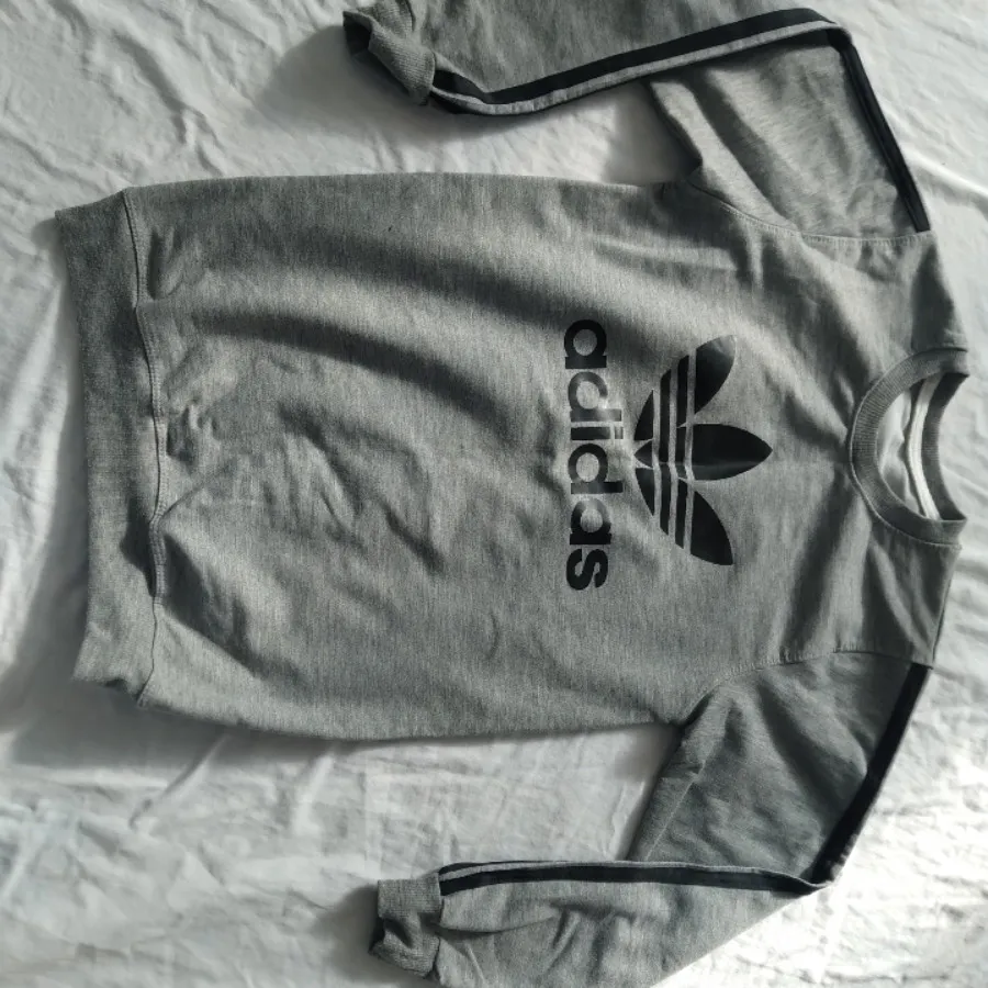 بلوز تک پاییزه