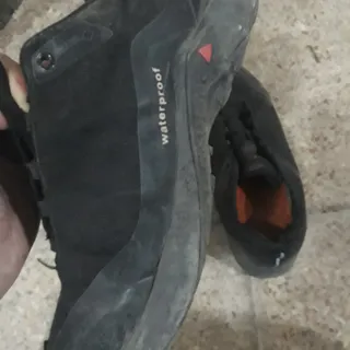 کفش اسپرت همتو