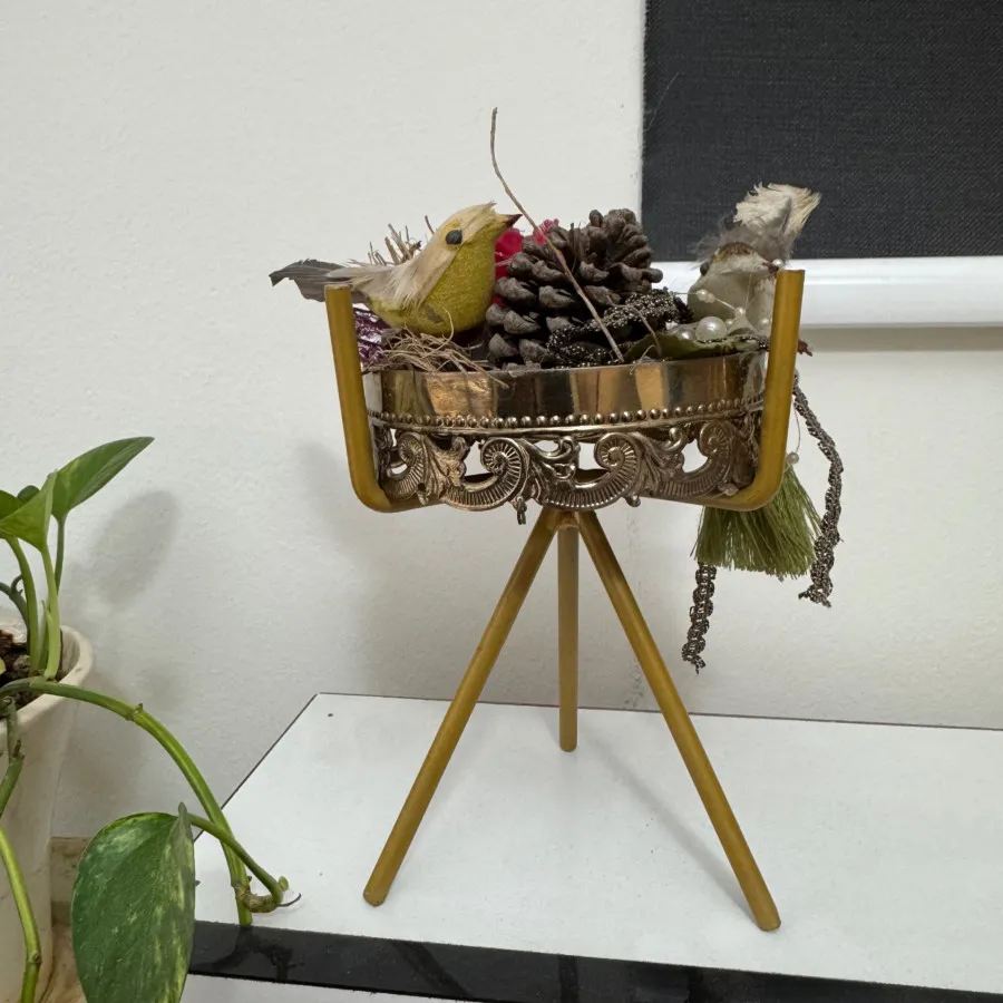 دکوری لانه پرنده