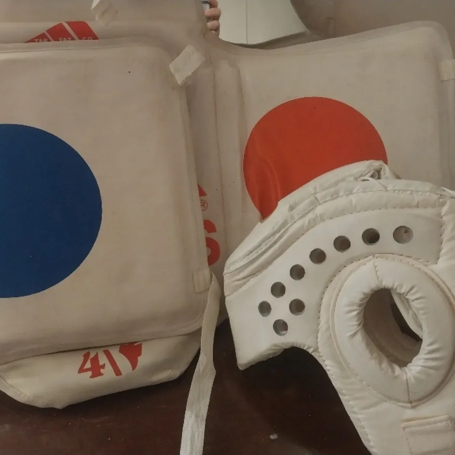 هوگو کلاه تکواندو