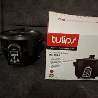 پلوپز تولیپس