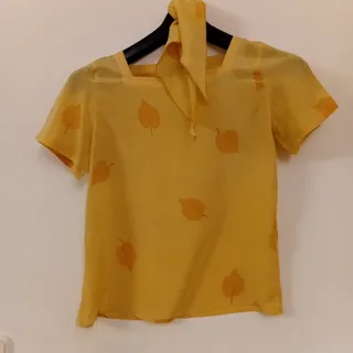 دو عدد  بلوز ابریشم