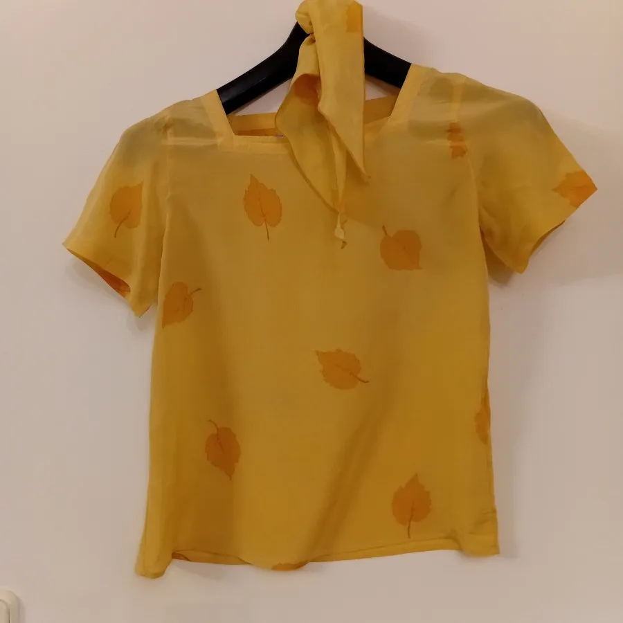 دو عدد  بلوز ابریشم