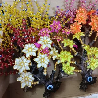 درختچه چشم و نظر