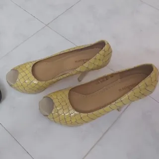 کفش کرم مجلسی