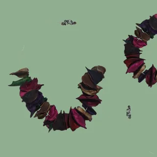 گردنبند درایاد