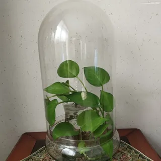 کنسول نگه دارنده گل