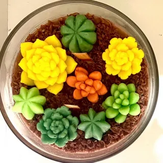 شمع تزیینی کاکتوس