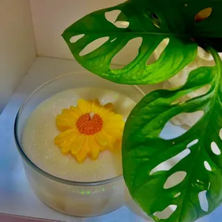 شمع بابونه آروما تراپی