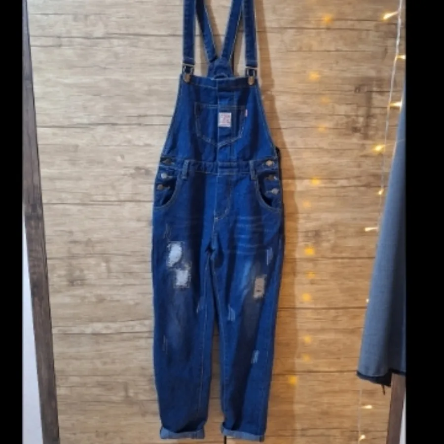 بیلرسوت جین زاپدار