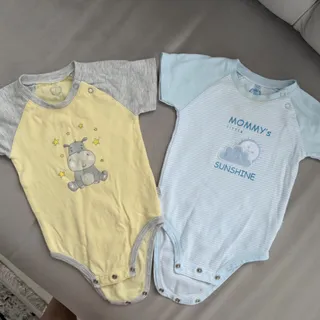 بادی آبی و زرد