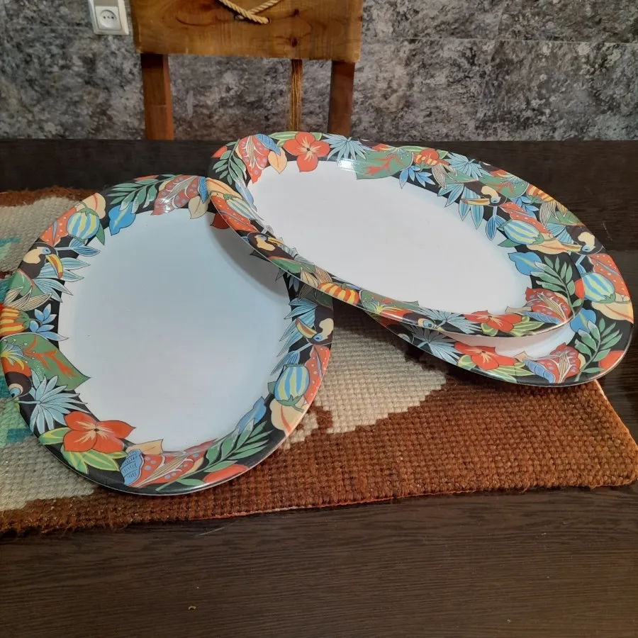 دیس ملامین سایز بزرگ