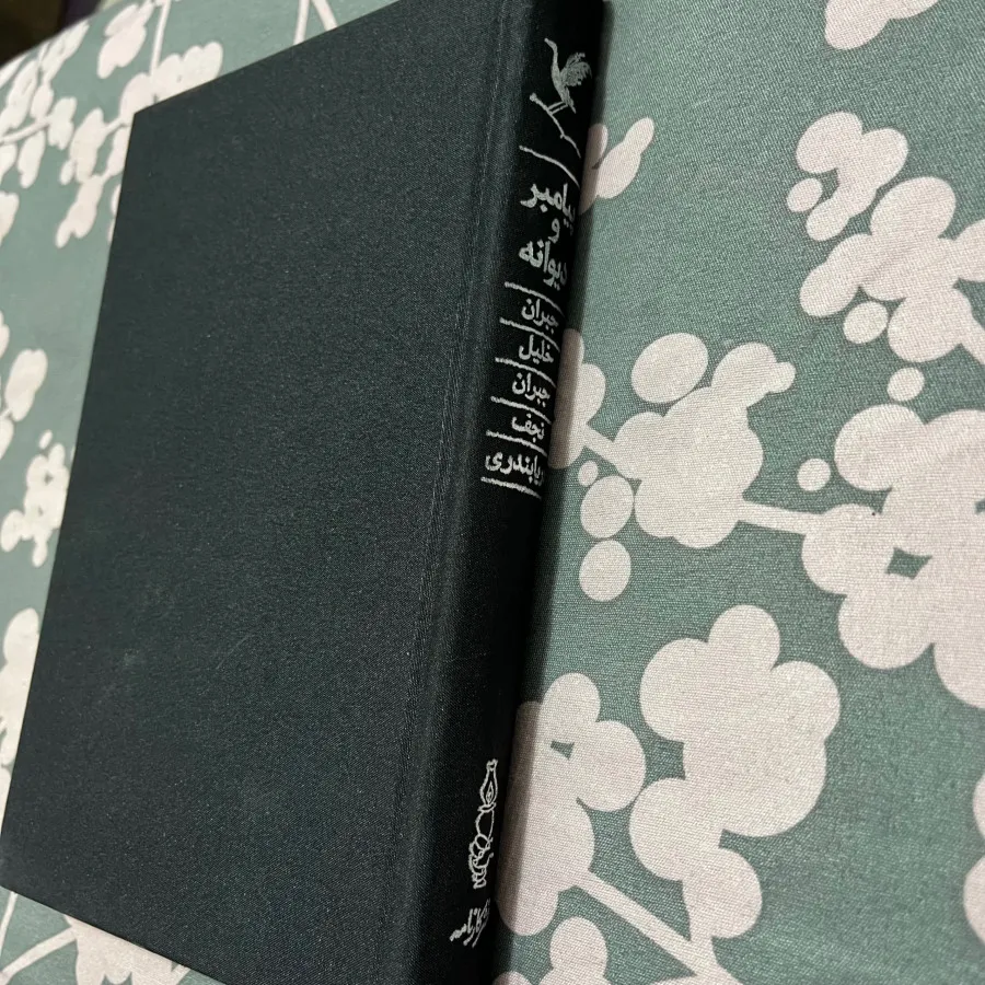 کتاب پیامبر و دیوانه