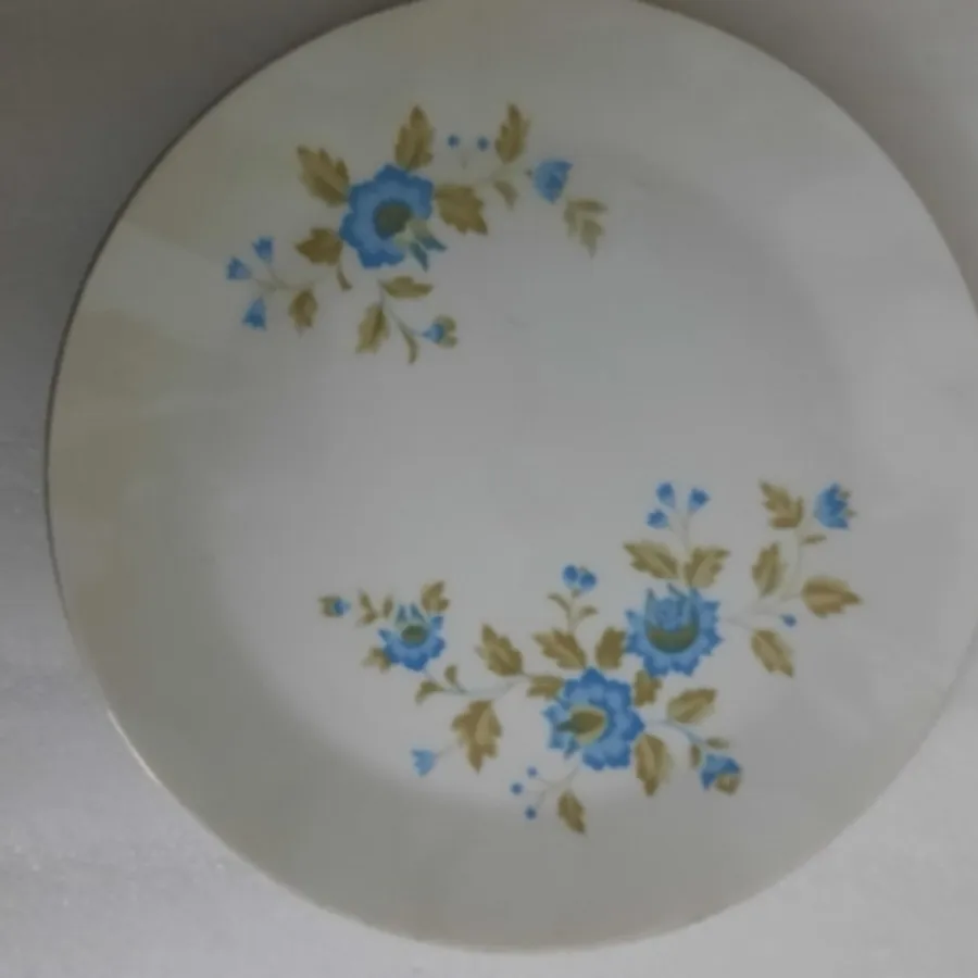 بشقاب دیواری